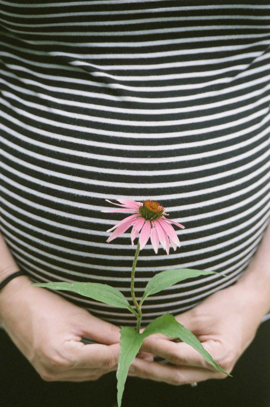 Pregnant woman holding a flower of hope