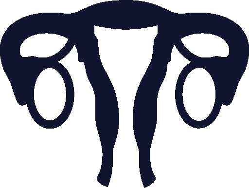 female-reproductive-systems-icon