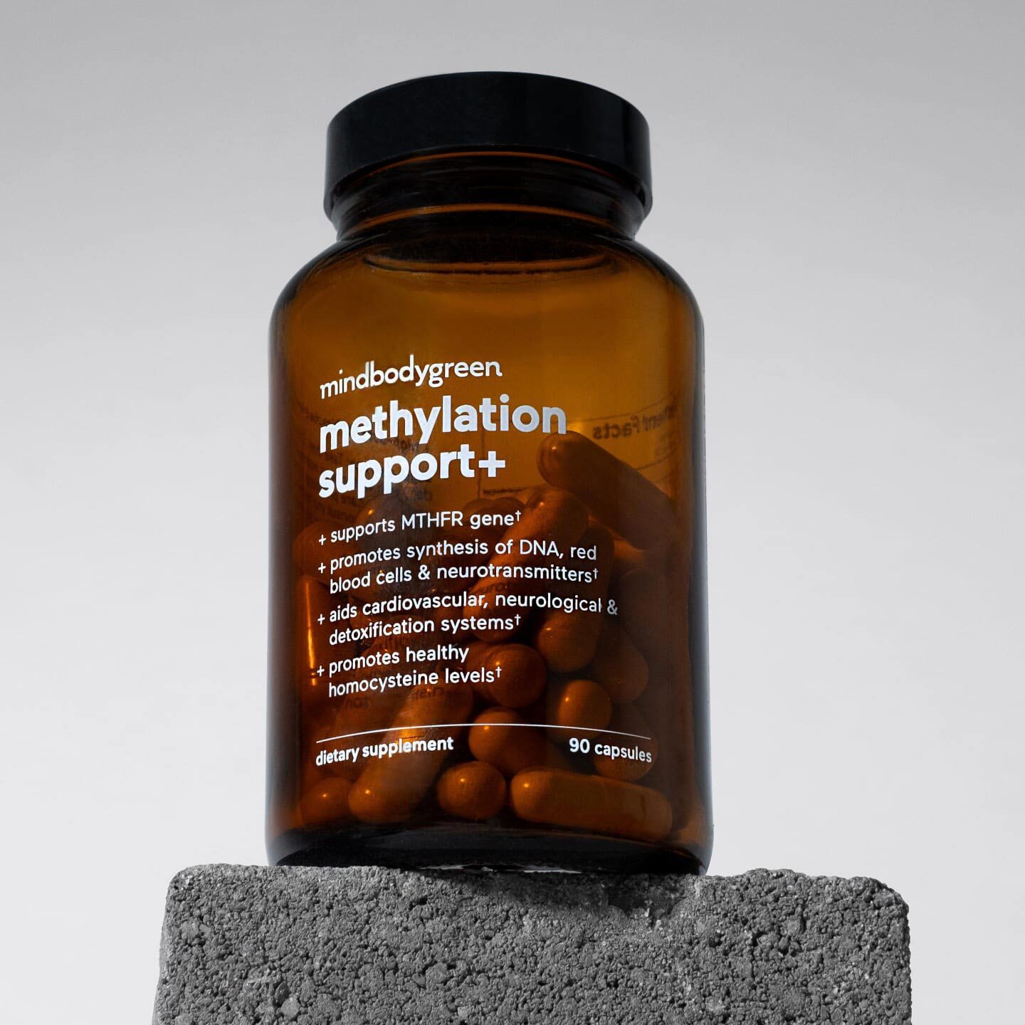 MethylationSupport